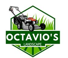Logo for Octavio's Landscape