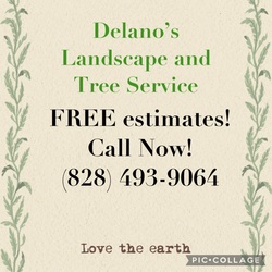 Delano's Landscape and Tree Service logo
