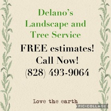Delano's Landscape and Tree Service logo