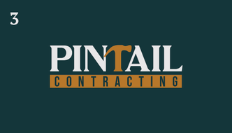 PINTAIL CONTRACTING LLC logo