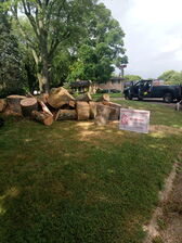 Avatar for Robinsons Quality Tree Care LLC