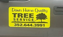 Avatar for DOWN HOME QUALITY TREE SERVICE LLC