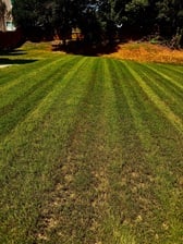 Avatar for JC Lawn Service