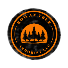 Logo for Rowan Tree Arborist