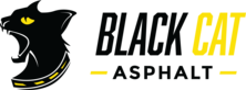 Avatar for Black Cat Asphalt