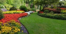 Avatar for Quality Landscaping