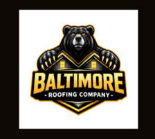 Avatar for Baltimore Contractors LLC