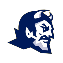 Blue Devil Pressure Washing logo