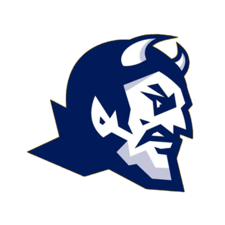 Logo for Blue Devil Pressure Washing