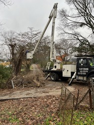 Precision Tree Services logo