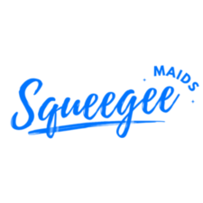 Avatar for Squeegee Maids