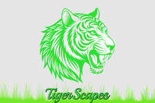 Avatar for TigerScapes