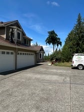 Avatar for Emanuel Painting and Remodeling, LLC