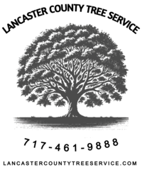 Lancaster County Tree Service LLC logo