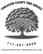 Avatar for Lancaster County Tree Service LLC