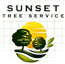 Avatar for Sunset Tree Services, LLC