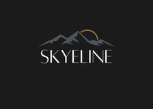 Avatar for Skyeline Homes