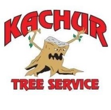 Avatar for Kachur Tree Service
