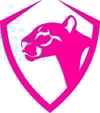 Avatar for BIG CAT ROOFING, LLC