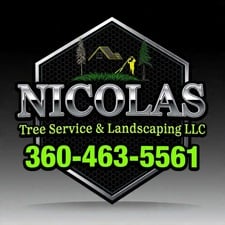 Avatar for NICOLAS LANDSCAPING AND TREE SERVICE LLC