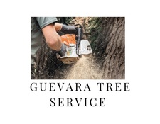 Logo for Guevara Tree Services