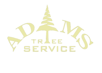 Adam's Tree Service logo