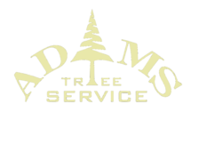 Adam's Tree Service logo