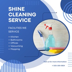 Shine House Cleaning Service logo