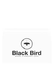 BLACK BIRD CONSTRUCTION LLC logo