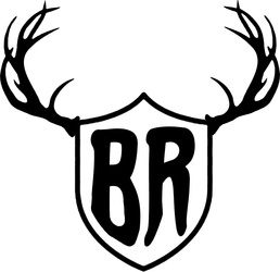Bookrich Services, LLC logo