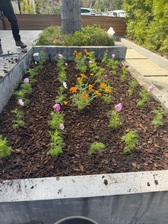 Avatar for Lopez Gardening