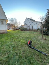 Logo for Nieves Brothers Landscaping LLC