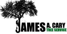 Avatar for James A Cary Tree Service