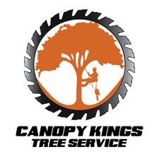 Logo for Canopy Kings Tree Service LLC