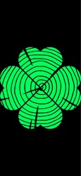 Gaelic Carpentry LLC logo