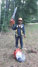 Avatar for Sanchez Tree Service