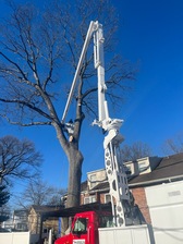 Avatar for Metropolitan Tree and Landscaping