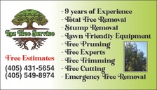 Logo for LAZ Tree Services