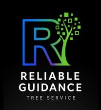 Avatar for Reliable Guidance