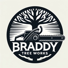 Logo for Braddy Tree Works