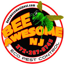 Avatar for BeeAwesome NJ ECO Pest Control