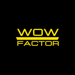WOW FACTOR DETAILING LLC logo