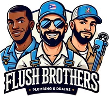 Logo for The Flush Brothers