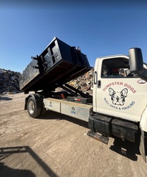 Dumpster Dogs LLC logo