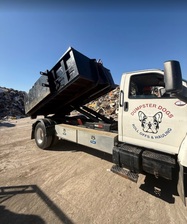 Avatar for Dumpster Dogs LLC