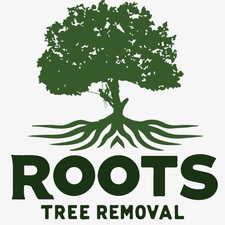 Avatar for Roots tree removal