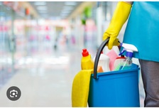 Logo for Queen Cleaning Service