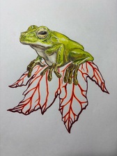 Avatar for Frog Hair Services