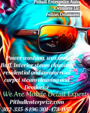 Logo for Pit Bull Enterprize Carpet Cleaning and  Auto Detailing