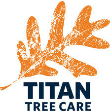 Logo for Titan Tree Care